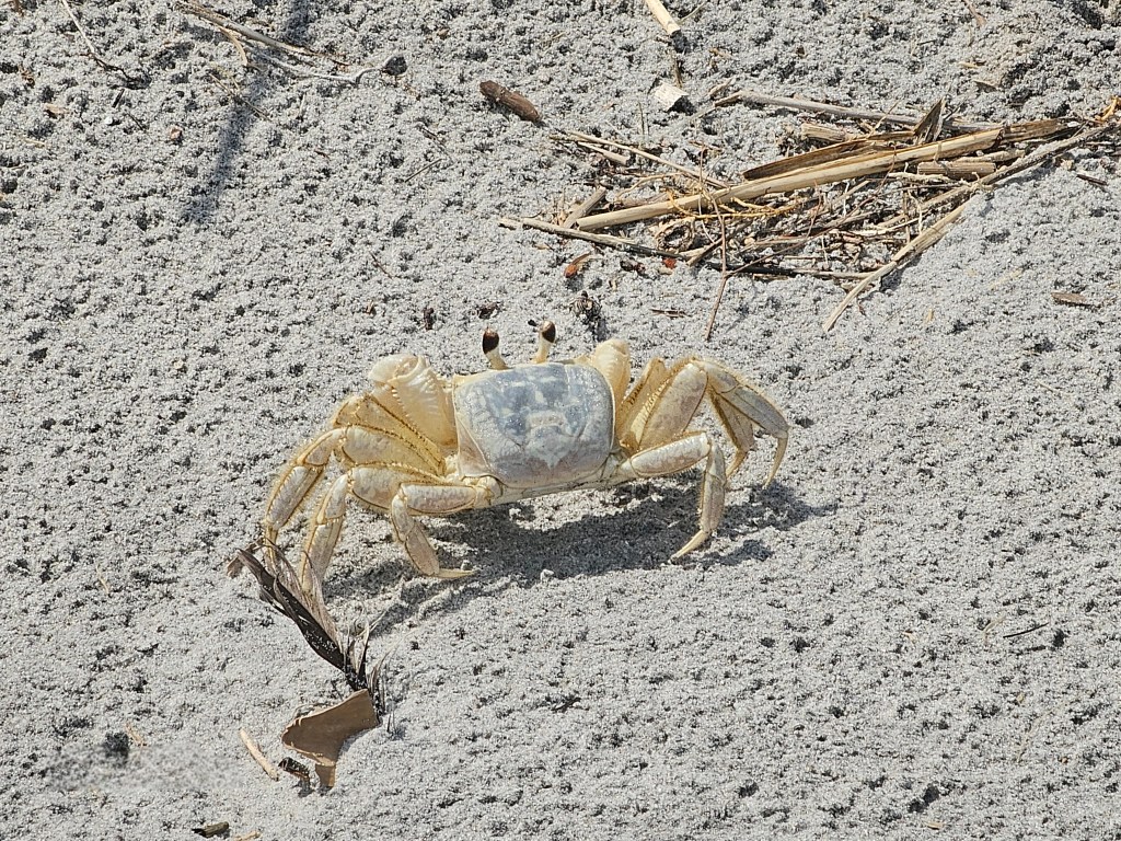 Why Self-Compassion Is a Mental Health&nbsp;Skill