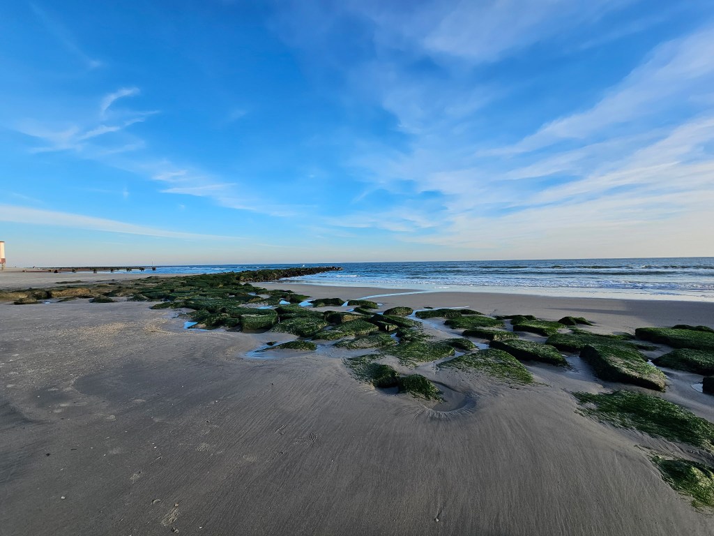 What Does DBT-Informed Therapy&nbsp;Mean?