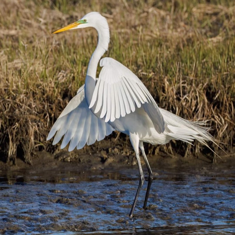 CBT Explained in Plain&nbsp;English