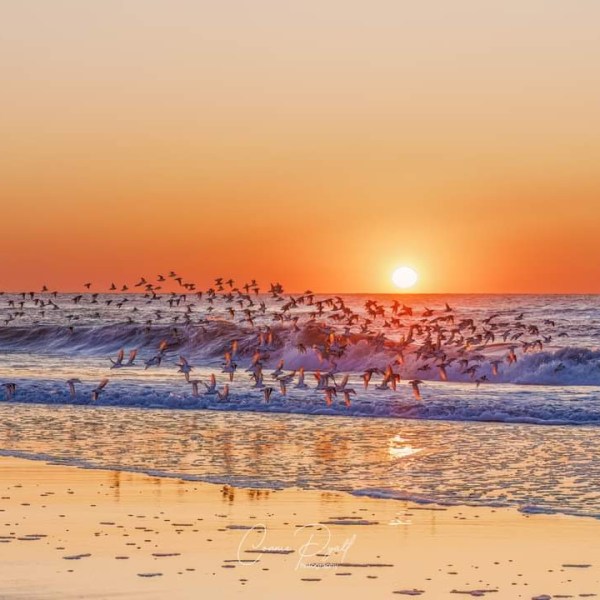 How to Know If Your Therapist Is a Good&nbsp;Fit