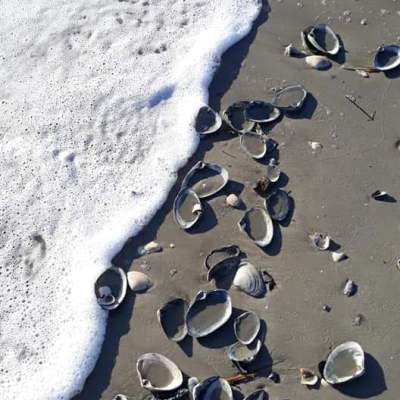 Therapy for Older Adults—Yes, It&nbsp;Helps